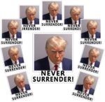 10 Pack Trump Mug Shot Funny Donald Trump Stickers