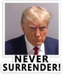 10 Pack Trump Mug Shot Funny Donald Trump Stickers