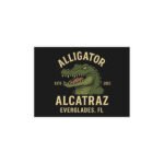 Alligator Alley Postcards - Ready to Mail (set of 10 Pack or 30 Pack)
