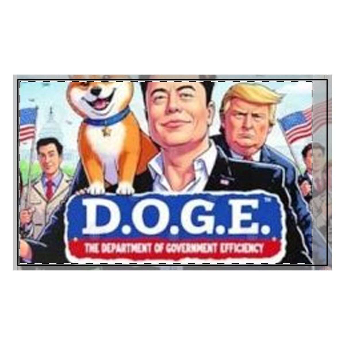 Department of Government Efficiency (DOGE) 3x5 Double-Sided Flag Department of Government Efficiency (DOGE) 3x5 Double-Sided Flag
