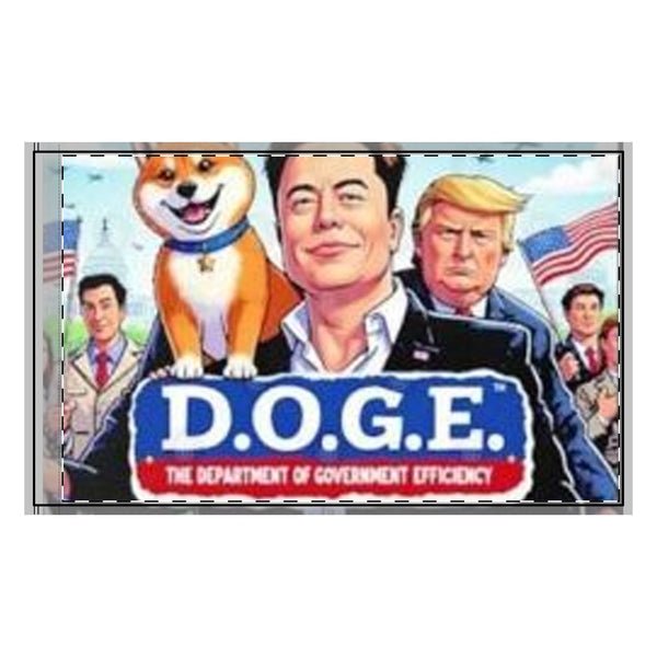 Department of Government Efficiency (DOGE) 3x5 Double-Sided Flag Department of Government Efficiency (DOGE) 3x5 Double-Sided Flag