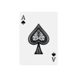 Donald Trump Inauguration 47th President Deck of 52 Playing Cards