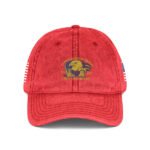 Embroidered Vintage American Flag Cap — Distressed Red Baseball Hat