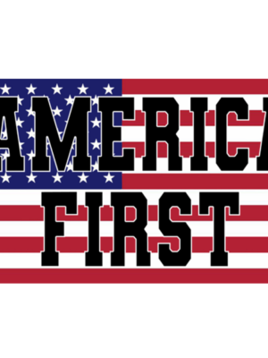 Gadsden Flag | The Trump Store PA Gadsden Flag