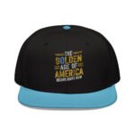 The Golden Age of America Embroidered Snapback Hat