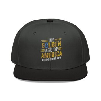 The Golden Age of America Embroidered Snapback Hat